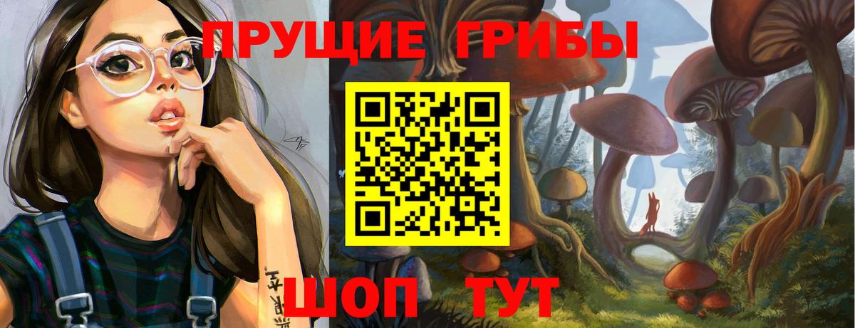 Жуковский  Галлюциногенные грибы Psilocybe  Вход с VPN 