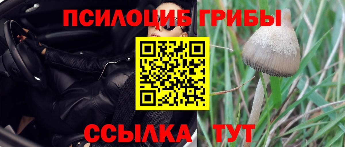 Псилоцибиновые грибы прущие грибы Жуковский